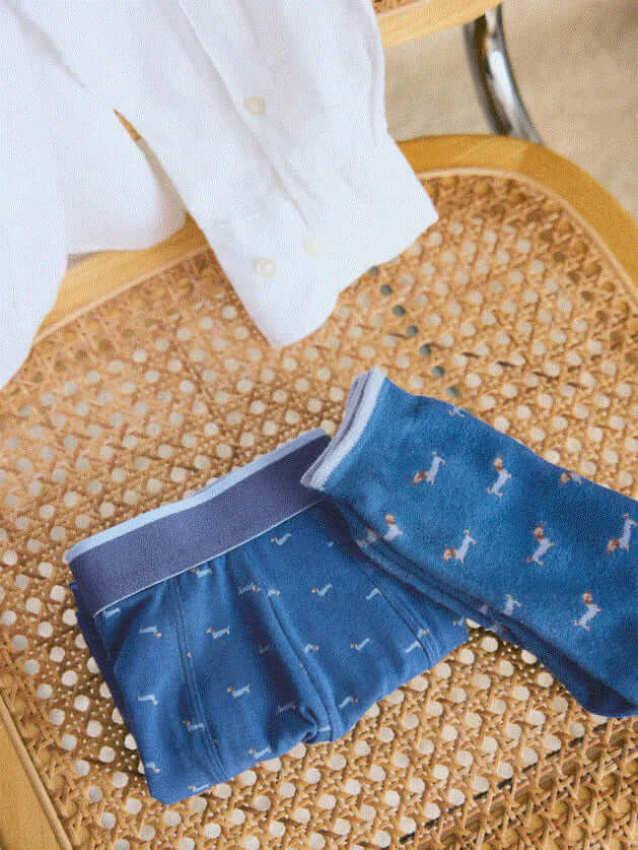 GOTEXTIL | Pack de Bóxer y Calcetín con estampado de perro salchicha - Ysabel Mora 20430